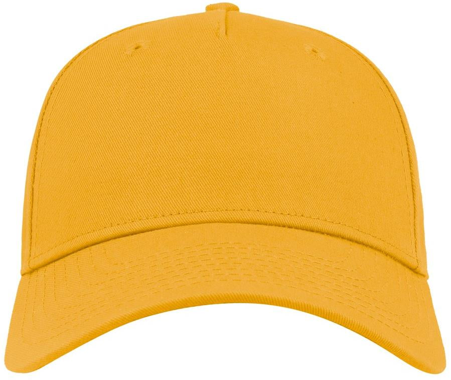 Atlantis Shot Curved Visor 5 Panel Structured Cap Adult